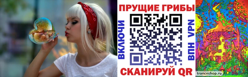 Псилоцибиновые грибы GOLDEN TEACHER  Купить где  Кола 